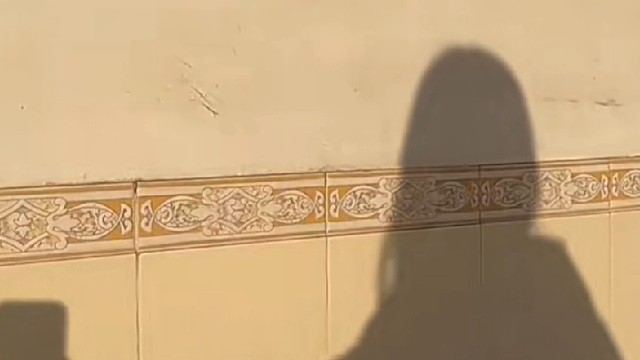 闲暇一度共舞⸜(๑'ᵕ'๑)⸝⋆*