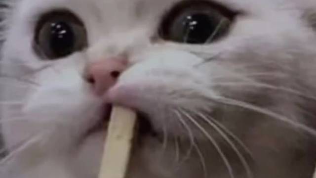 晚安玛了个巴子