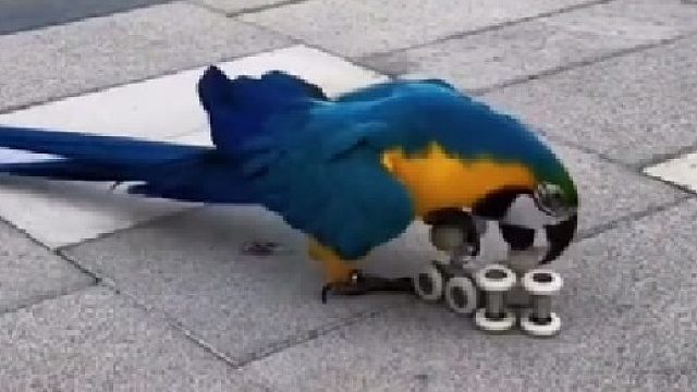 “这么多人围观，那我得表演个才艺”