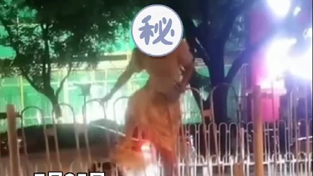 女子穿裙子翻越护栏，结果也是万万没有想到！