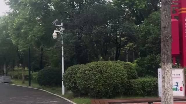 #惨不忍睹的建模