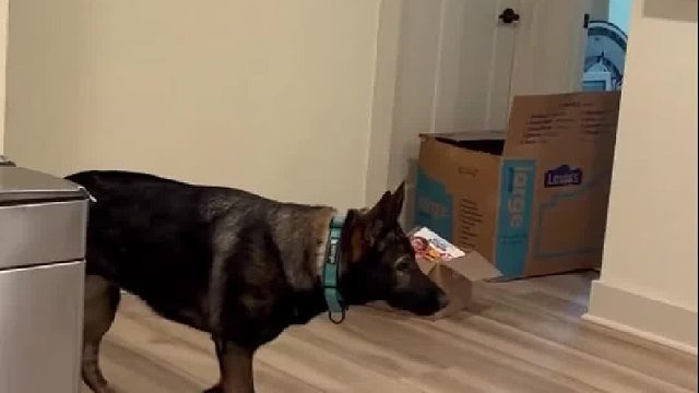 还以为要打一架呢，结果……