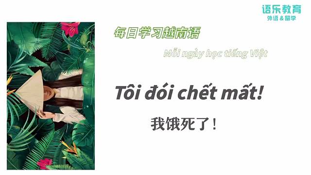 南宁语乐教育(原韩成教育)越南语培训每日一句