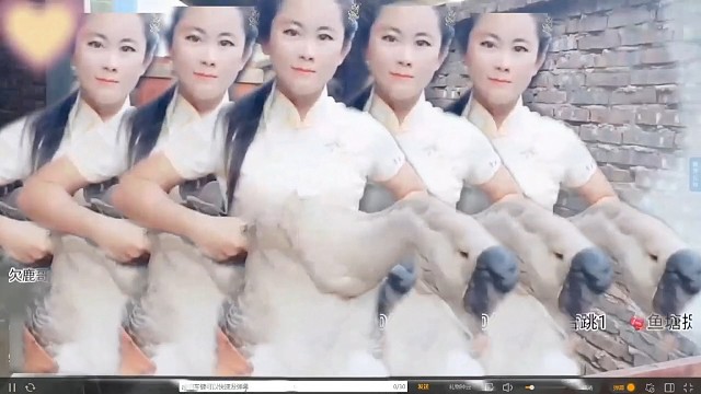 缘来舞还阔以折磨跳！？