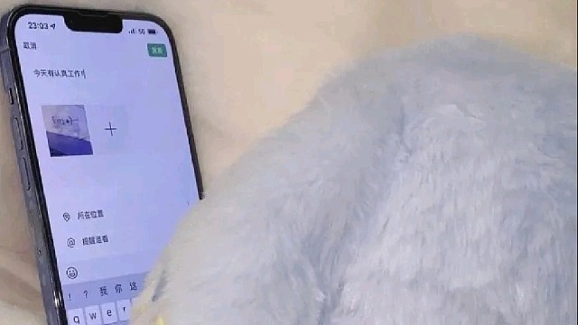 啊呜啊呜