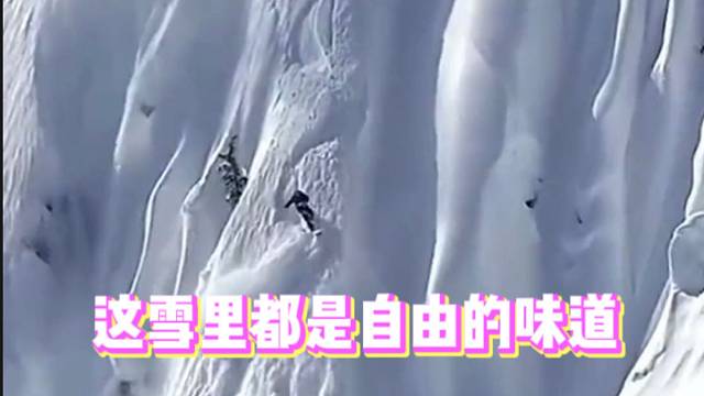 【极限运动】这雪里都是自由的味道