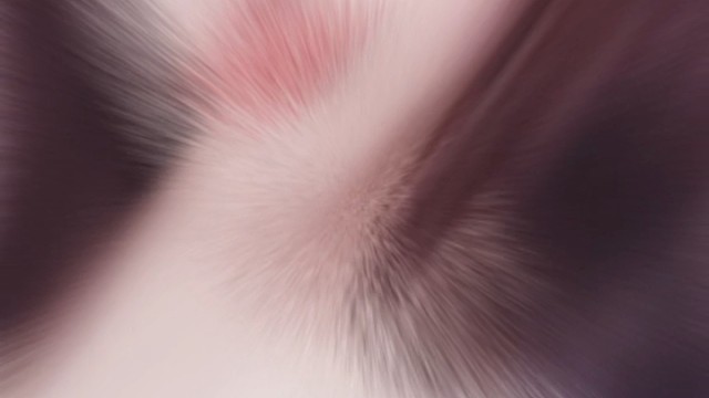 路漫漫终有一归幸与不幸都有尽头