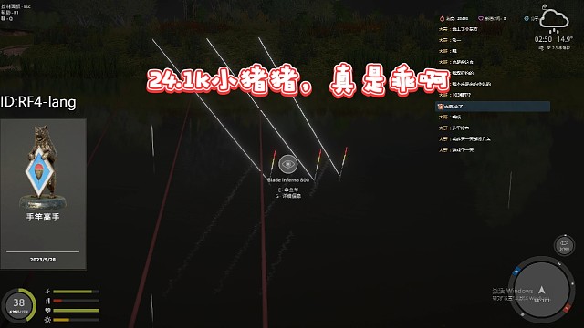 手竿24.1k欧洲六须鲶，真是小猪猪，乖的不行啊