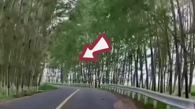 车速慢不一定安全，意外随时都可能降临！