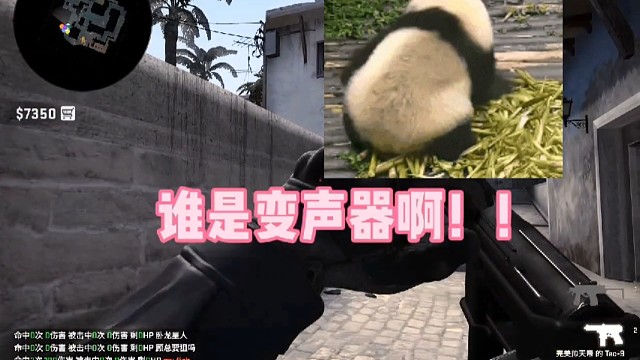 csgo之变声器的三杀
