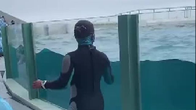 就问你这票白没白买，白没白买，白没白买………