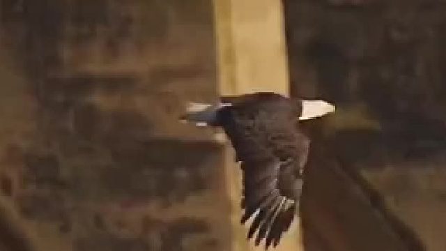 它是怎么知道有超车的？