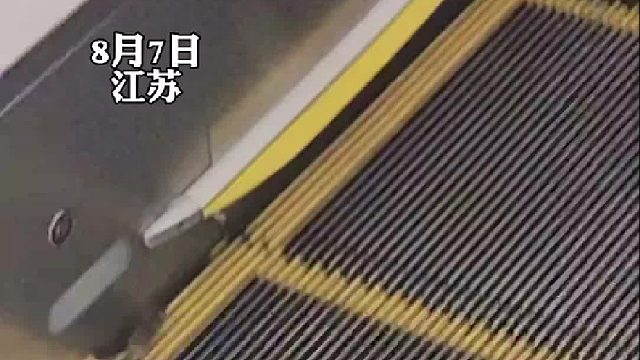 小老鼠不小心跑到电梯上就下不来了！鼠鼠大概把这辈子的路都要走完了吧……