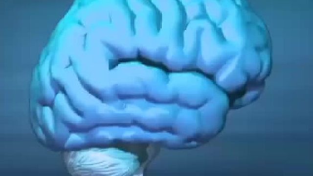 脑鸣、气短、心慌