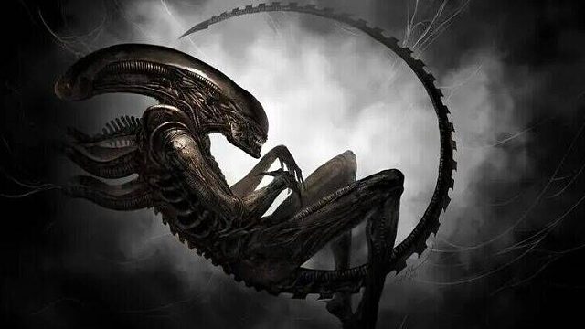 （全新异形VS人类）2023-8-7下