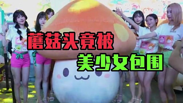 一堆美少女围着蘑菇头？