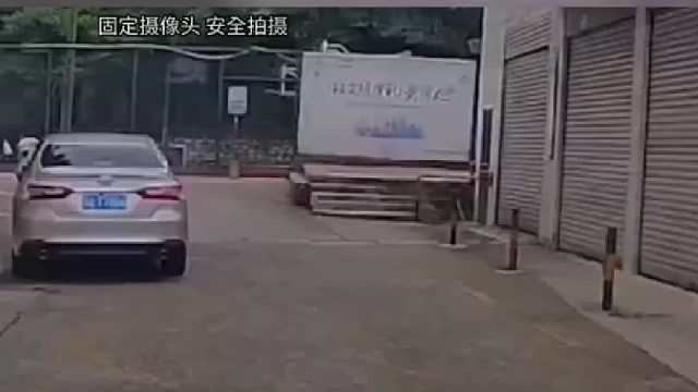 这也太淡定了吧！