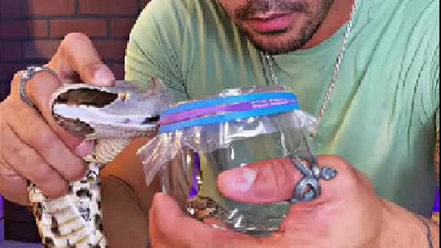 别别别把瓶子倒过来了，我喝到会中毒