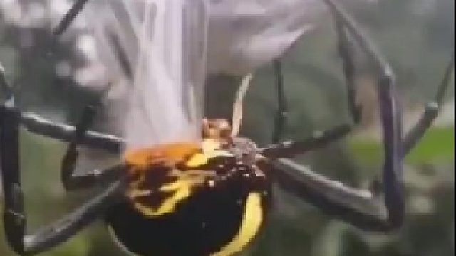 打包非常扎实。