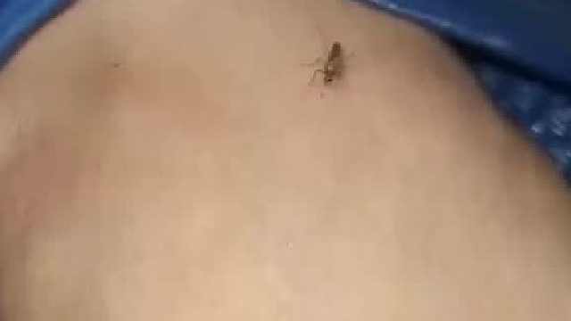 杀敌一千自损八百