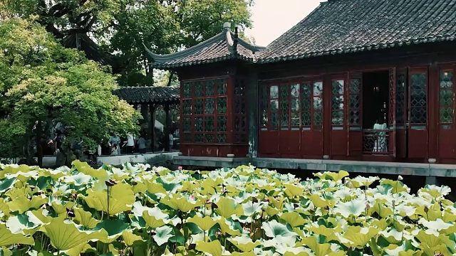 太湖之畔，名城苏州鱼米之乡，纯粹江南东海之滨，人间天堂#苏州#全新柯迪亚克