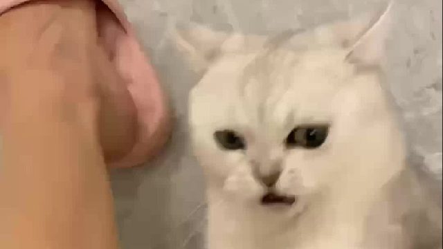 最后竟然失策了