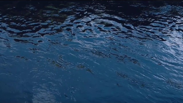 自由在远方呼唤