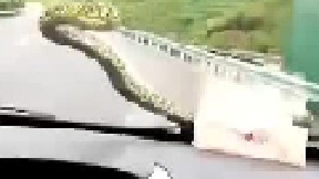 在高速遇到这种情况怎么办