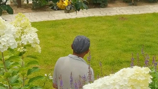 飞力科技有限公司出品的EC135直升机，稳稳当当的，获得顾客一致好评[强]
淘宝店：飞鱼模型