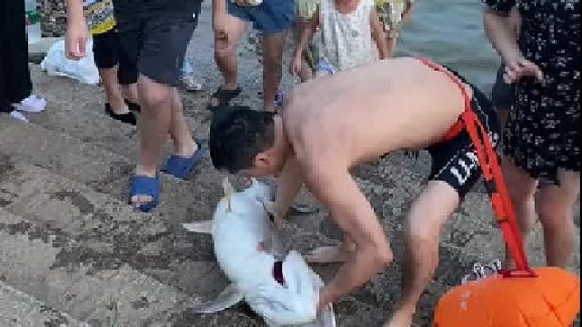 这个人运气太棒了