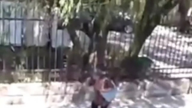 发作性睡病治疗了吗？