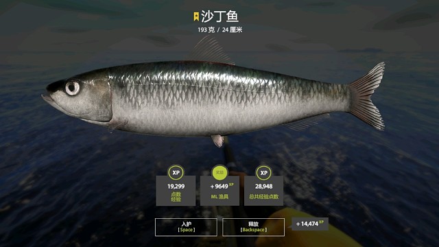 34挪威海–星沙丁(118星)，专门来蹲，蹲傻了