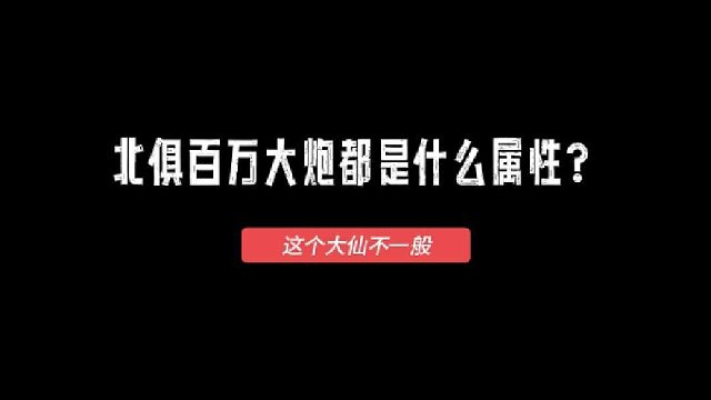百萬大炮的裝備欣賞！