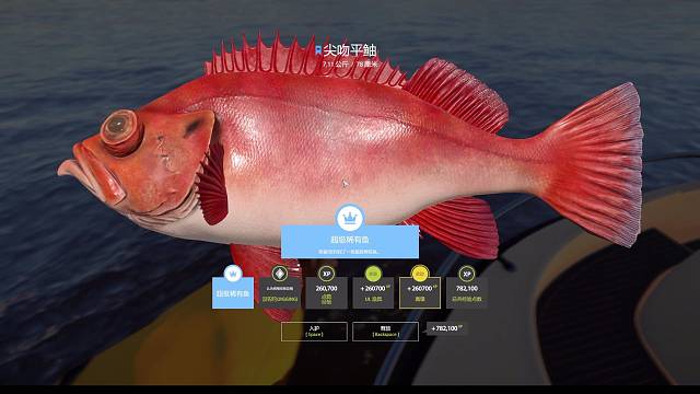 摆or不摆这是个问题！