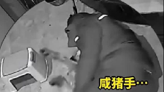 男子喝断片误把狗当媳妇抱着睡，并直言：比抱着媳妇还舒服！