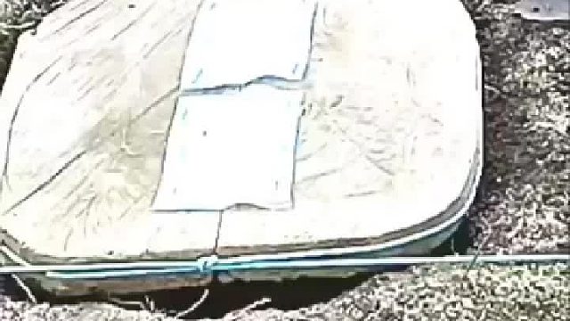 师傅，大师兄被捉走了！