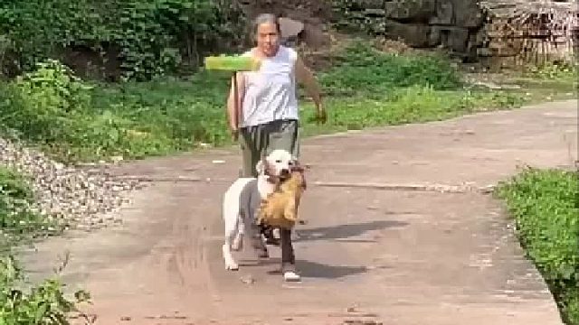 小宝今天被别人抓了一个正着小宝一步三回头看人追上来了没有