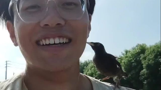 小伙路遇小鸟飞落在肩头一路陪伴，“有时候快乐就是这么简单”