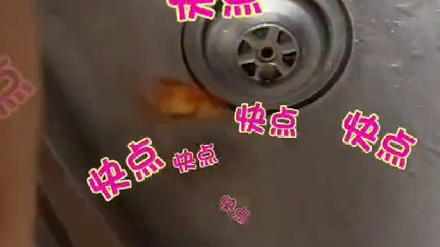 主人给自家猫的宠物换水图一个快速便捷随性