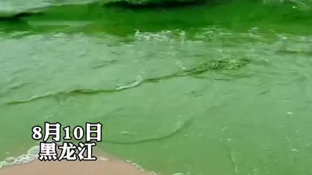 游客在湖边发现惊奇一幕，湖水变成绿色如同“菠菜汁”一样：一眼望不到边，好可怕！