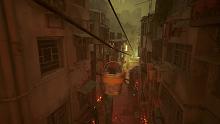 stray2
