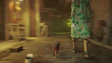stray6