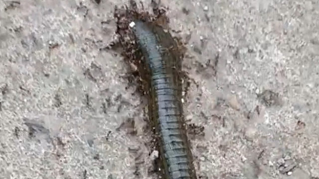 这就是团结的力量