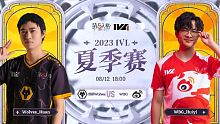 Wolves vs WBG 常规赛W10