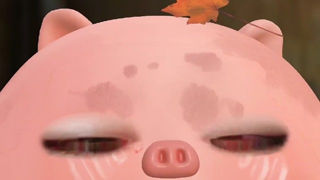 生活不易猪猪卖艺