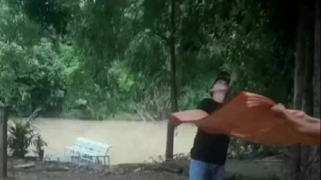 猴子：再也不信人了