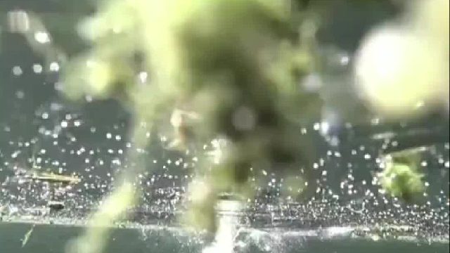 鲤鱼能长到几十斤是有原因的，比如这是一个咸鸭蛋它也吃