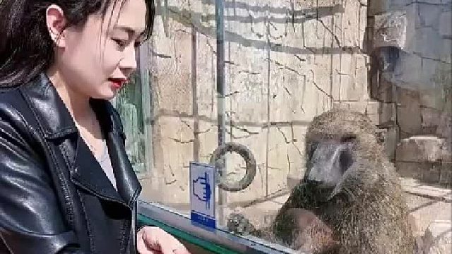 泼猴被小姐姐调戏