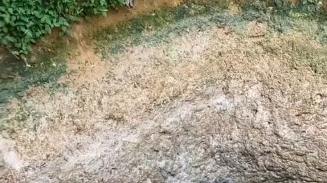 小水坑高密度养殖