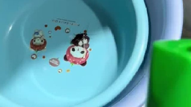 说出来你们不信，蟑螂是被杀虫剂淹死的